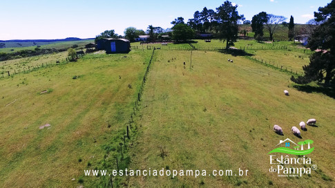 VAI ATE MANGUEIRA OVELHAS.00_03_38_00.Quadro050_420b773414535e29d03029af8420aa108d118a05.jpg